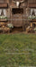 Western Daisy Barn Grass Sweeps (CC)