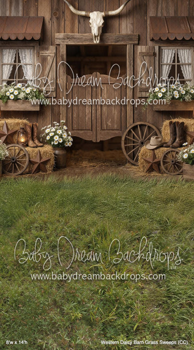 Western Daisy Barn Grass Sweeps (CC)