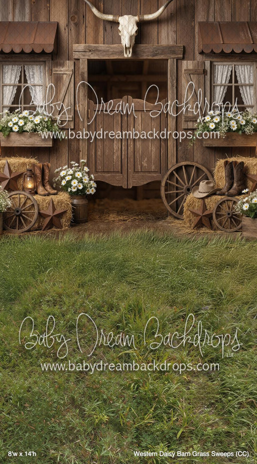 Western Daisy Barn Grass Sweeps (CC)