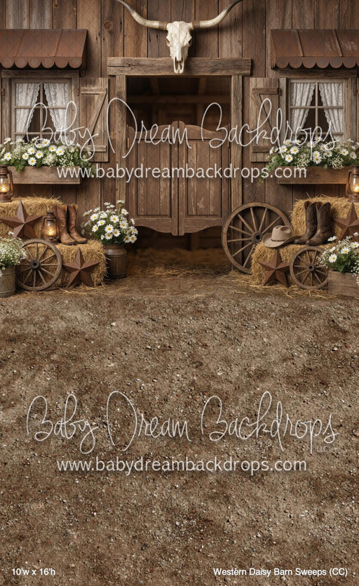 Western Daisy Barn Sweeps (CC)