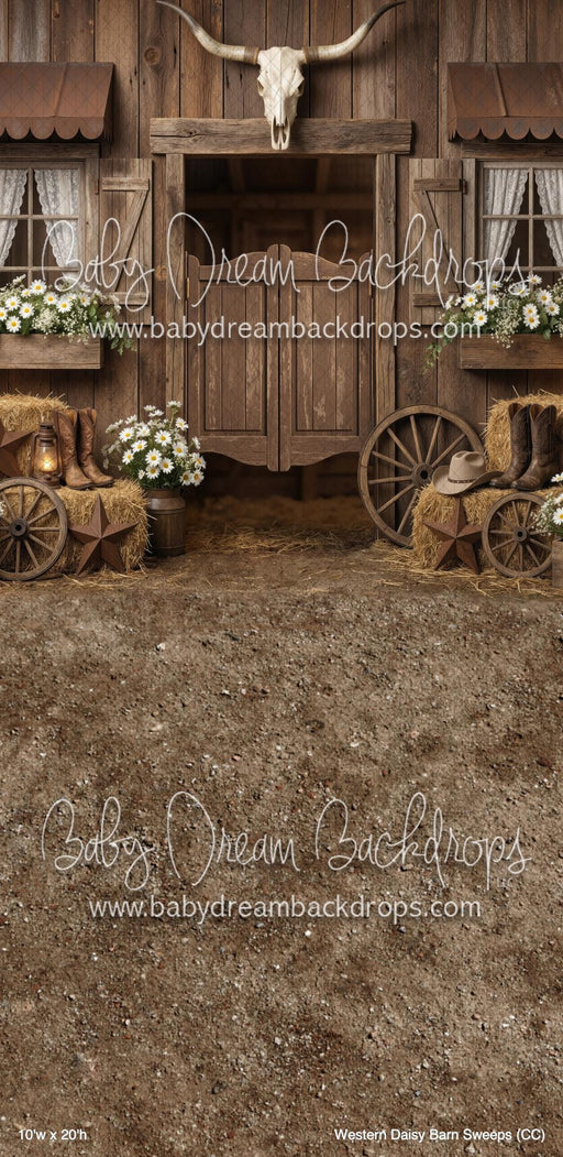 Western Daisy Barn Sweeps (CC)