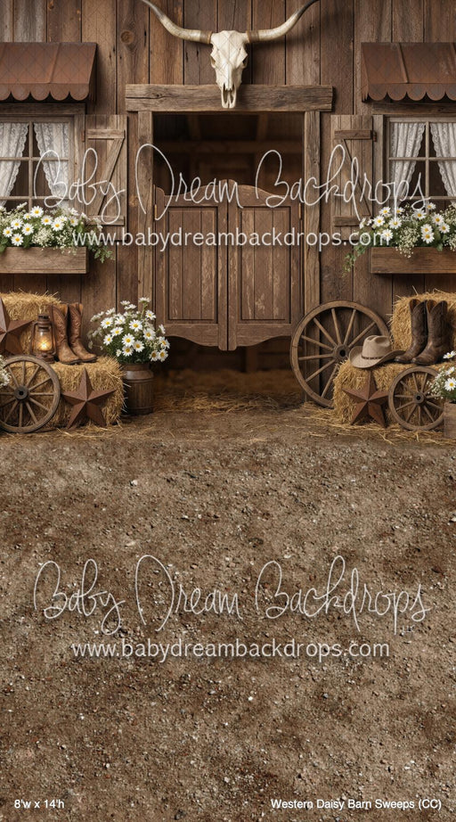 Western Daisy Barn Sweeps (CC)