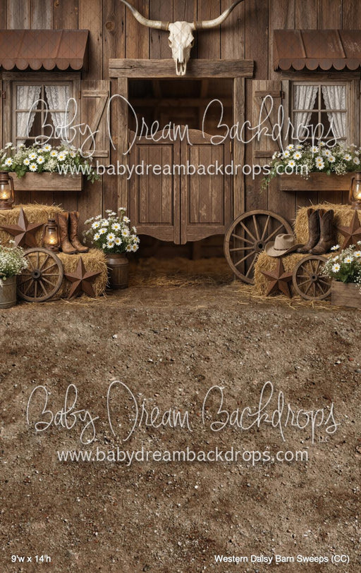 Western Daisy Barn Sweeps (CC)