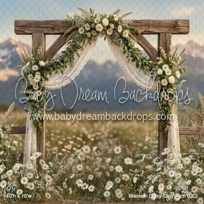 Western Daisy Lacy Arch (CC)
