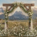 Western Daisy Lacy Arch (CC)