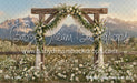 Western Daisy Lacy Arch (CC)