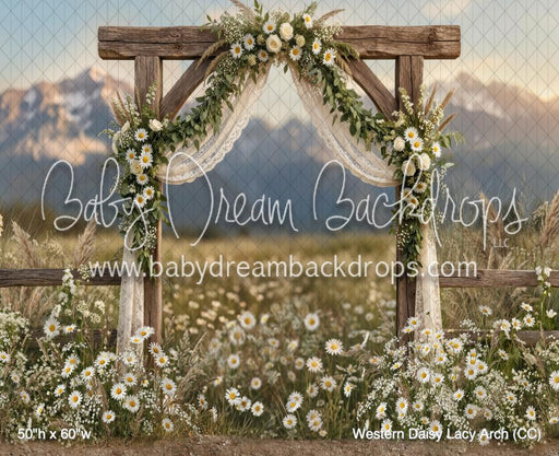 Western Daisy Lacy Arch (CC)