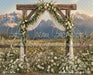 Western Daisy Lacy Arch (CC)