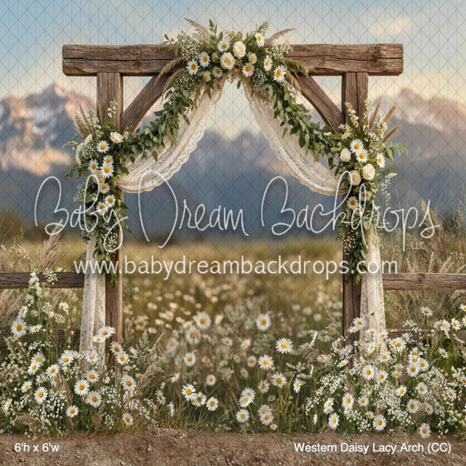 Western Daisy Lacy Arch (CC)