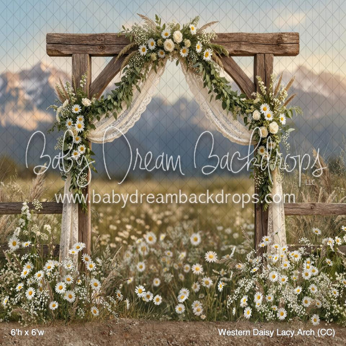 Western Daisy Lacy Arch (CC)