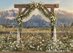 Western Daisy Lacy Arch (CC)