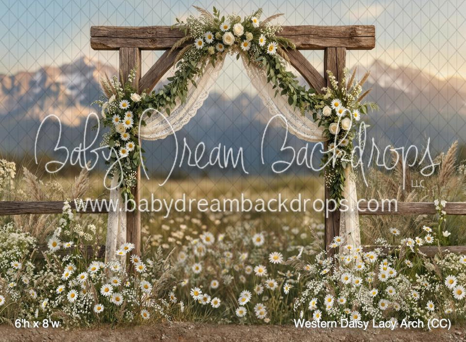 Western Daisy Lacy Arch (CC)