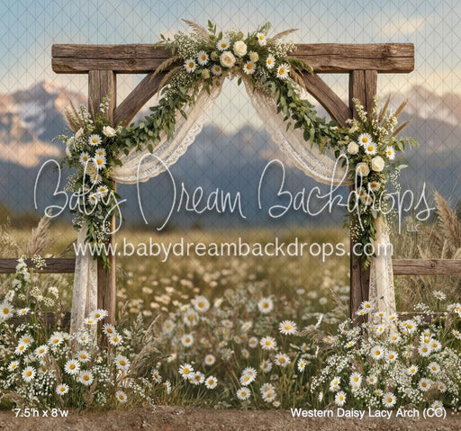 Western Daisy Lacy Arch (CC)