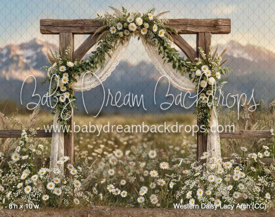 Western Daisy Lacy Arch (CC)