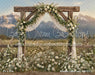 Western Daisy Lacy Arch (CC)
