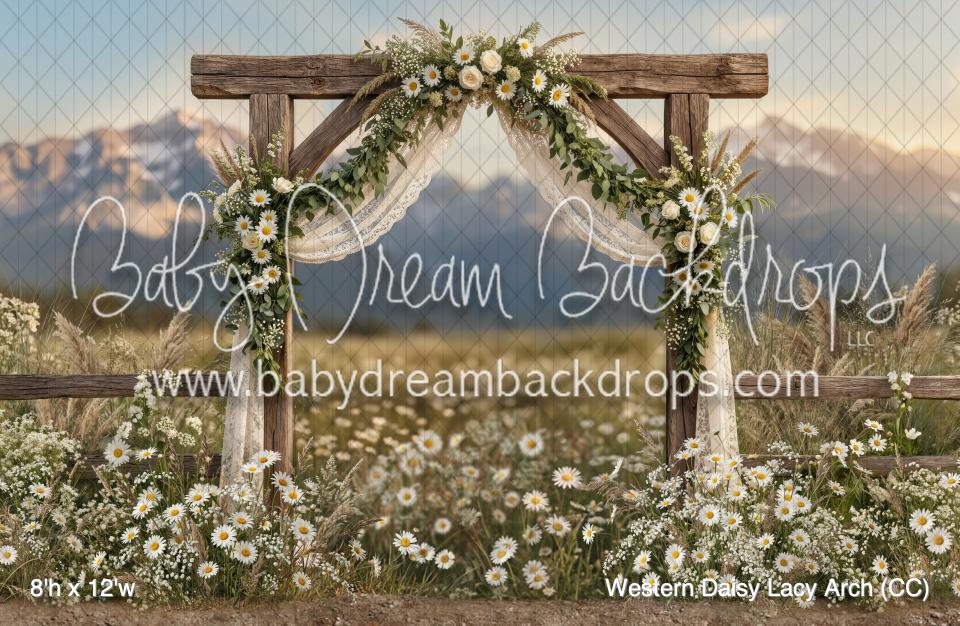 Western Daisy Lacy Arch (CC)