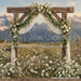 Western Daisy Lacy Arch (CC)