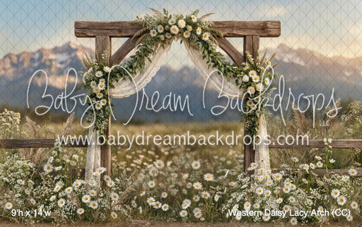 Western Daisy Lacy Arch (CC)