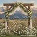 Western Daisy Lacy Arch Grass (CC)