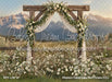 Western Daisy Lacy Arch Grass (CC)