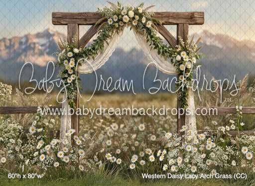 Western Daisy Lacy Arch Grass (CC)