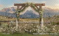 Western Daisy Lacy Arch Grass (CC)