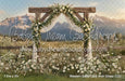 Western Daisy Lacy Arch Grass (CC)