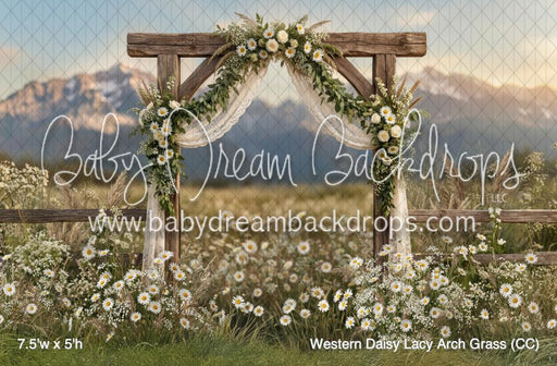 Western Daisy Lacy Arch Grass (CC)