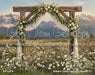 Western Daisy Lacy Arch Grass (CC)