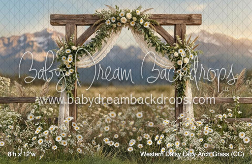 Western Daisy Lacy Arch Grass (CC)