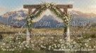 Western Daisy Lacy Arch Grass (CC)