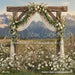 Western Daisy Lacy Arch Grass (CC)