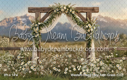 Western Daisy Lacy Arch Grass (CC)