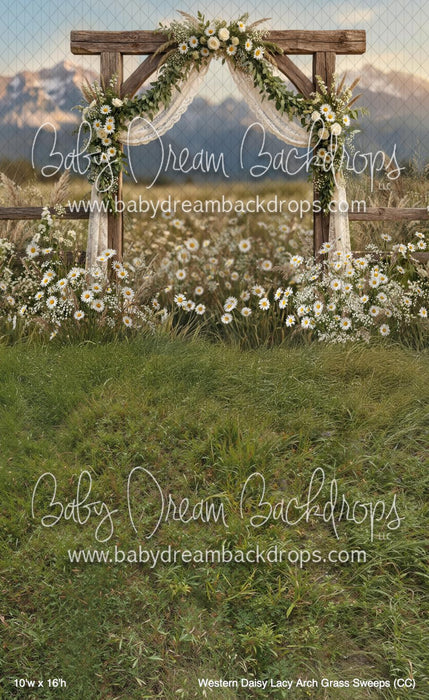 Western Daisy Lacy Arch Grass Sweeps (CC)