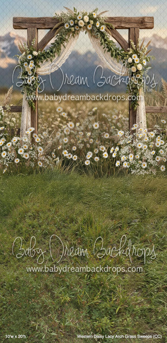 Western Daisy Lacy Arch Grass Sweeps (CC)