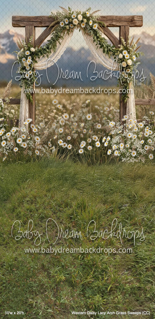 Western Daisy Lacy Arch Grass Sweeps (CC)