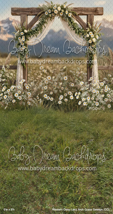 Western Daisy Lacy Arch Grass Sweeps (CC)