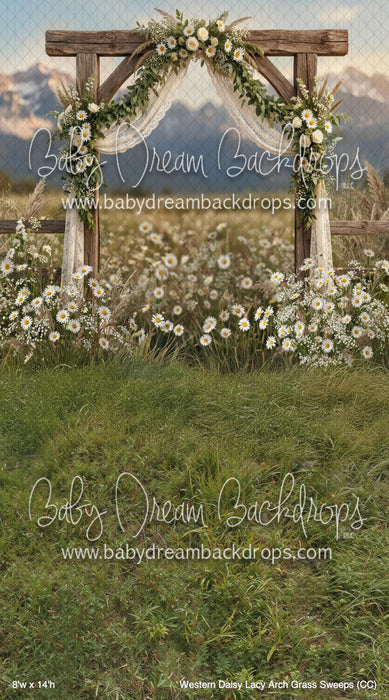 Western Daisy Lacy Arch Grass Sweeps (CC)