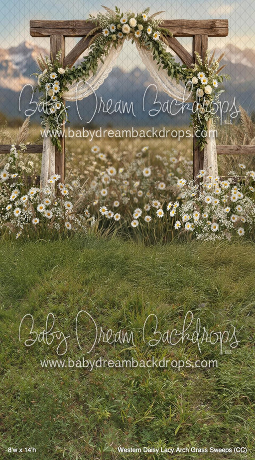 Western Daisy Lacy Arch Grass Sweeps (CC)