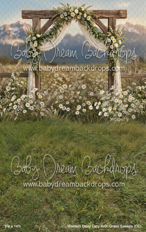 Western Daisy Lacy Arch Grass Sweeps (CC)