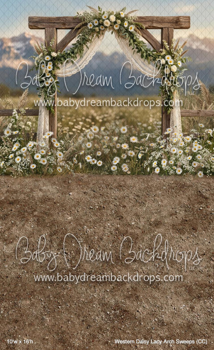 Western Daisy Lacy Arch Sweeps (CC)
