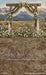 Western Daisy Lacy Arch Sweeps (CC)
