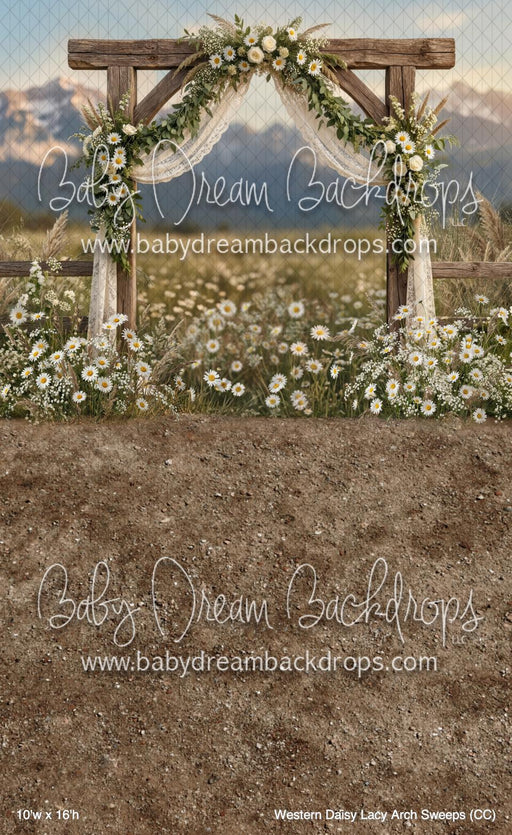Western Daisy Lacy Arch Sweeps (CC)