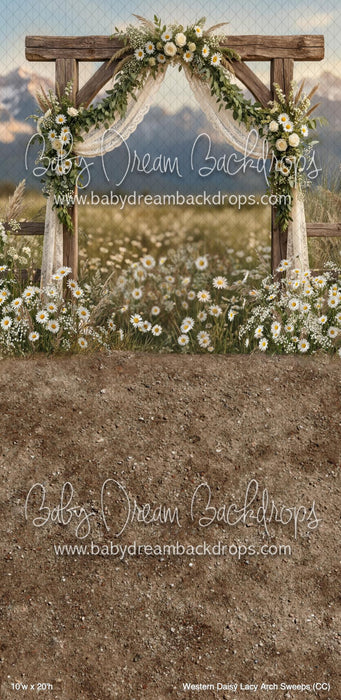 Western Daisy Lacy Arch Sweeps (CC)