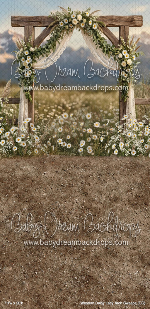 Western Daisy Lacy Arch Sweeps (CC)