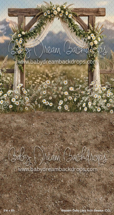 Western Daisy Lacy Arch Sweeps (CC)
