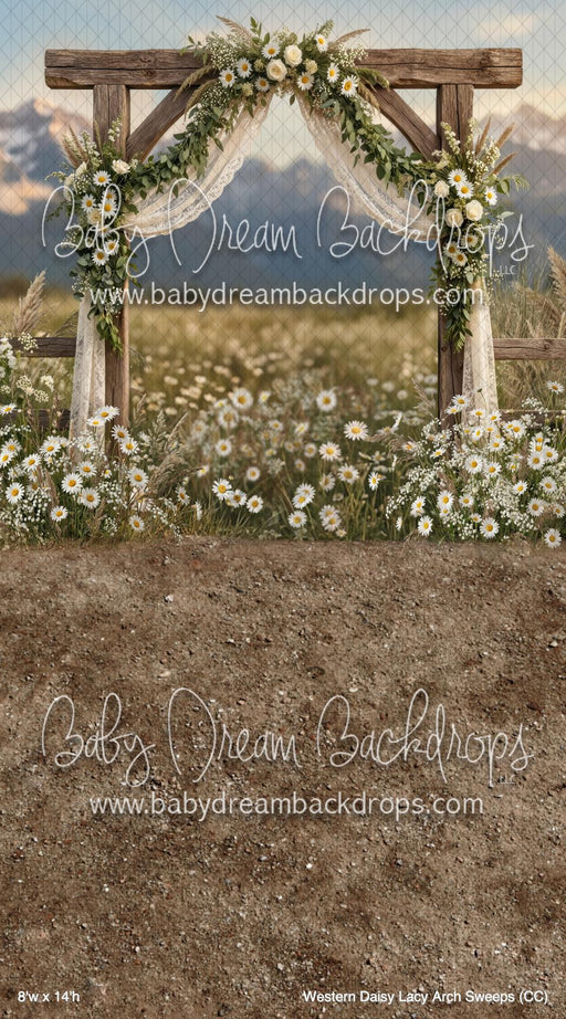 Western Daisy Lacy Arch Sweeps (CC)