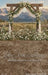 Western Daisy Lacy Arch Sweeps (CC)