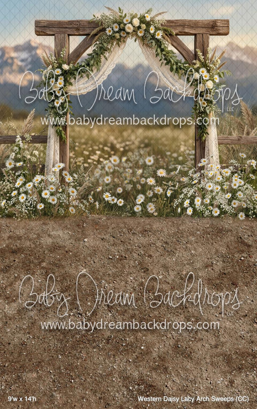 Western Daisy Lacy Arch Sweeps (CC)