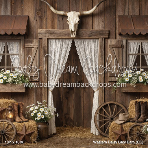 Western Daisy Lacy Barn (CC)